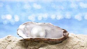 Moonstone Pearl Moonstone Pearl